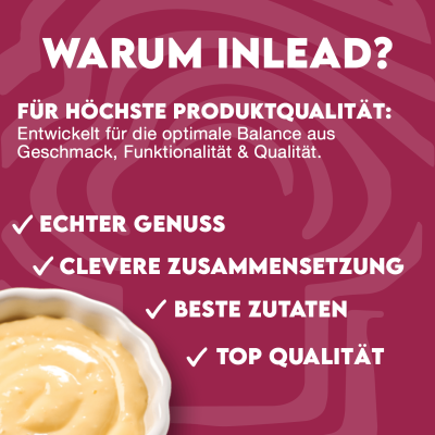 Inlead Protein Pudding 500 g Vanilla