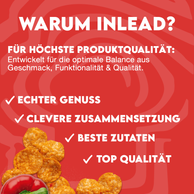 Inlead Protein Chips 50 g Sour Cream & Onion