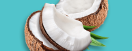 Coconut
